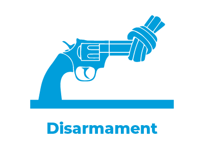 DISEC Icon
